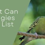 What Can Budgies Eat List