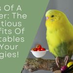 Birds Of A Feather