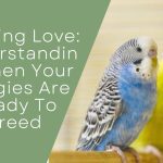 Budding Love