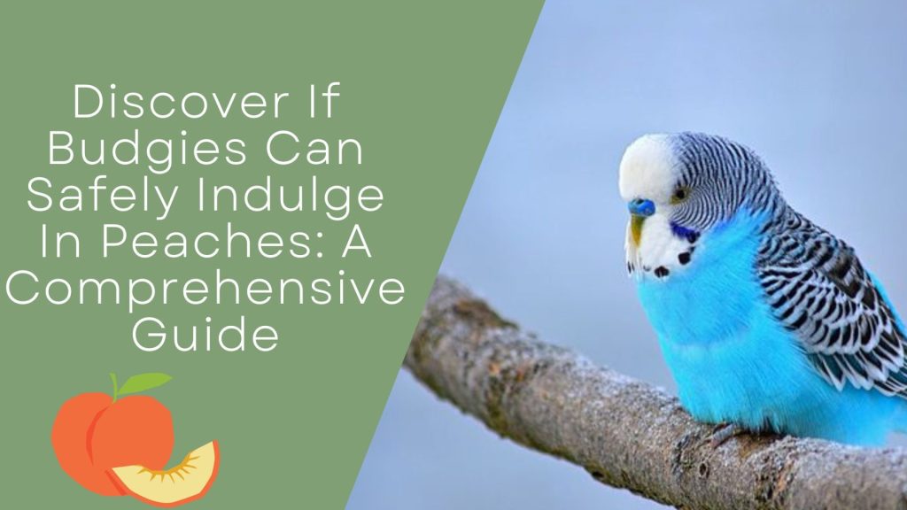 Can Safely Indulge In Peaches