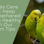 Budgies Cere Care