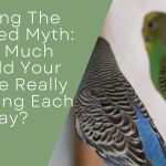 Busting The Birdseed Myth