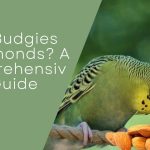 Can Budgies Eat Almonds