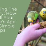 Budgie's Age