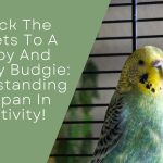 Happy And Healthy Budgi