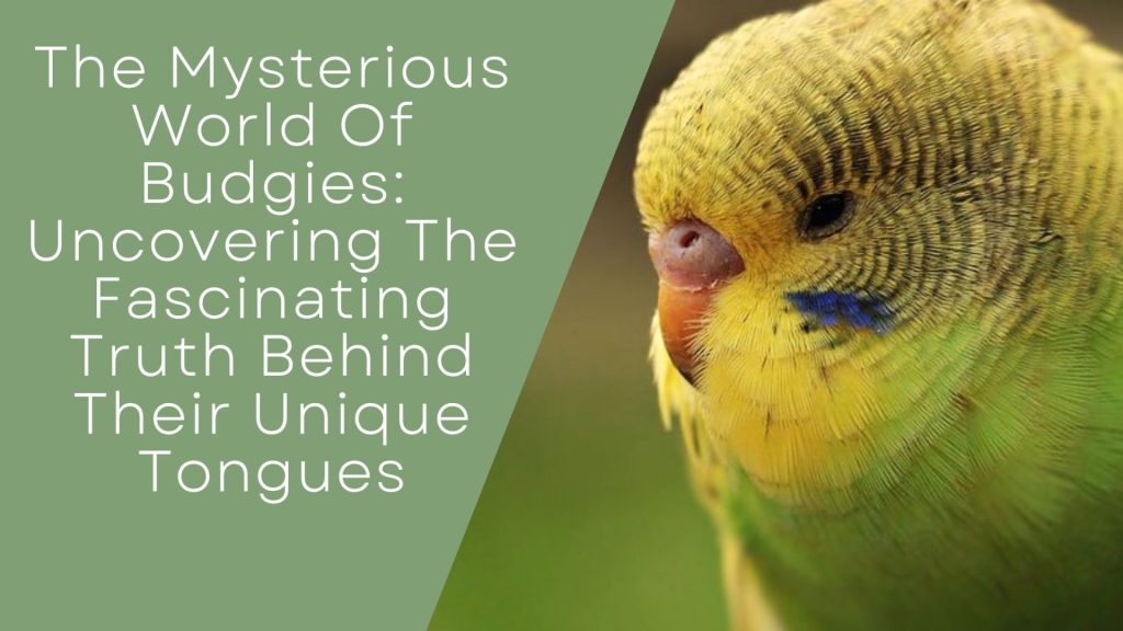 Truth Behind Their Unique Tongues