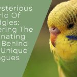 Truth Behind Their Unique Tongues