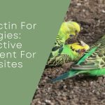 Ivermectin For Budgies